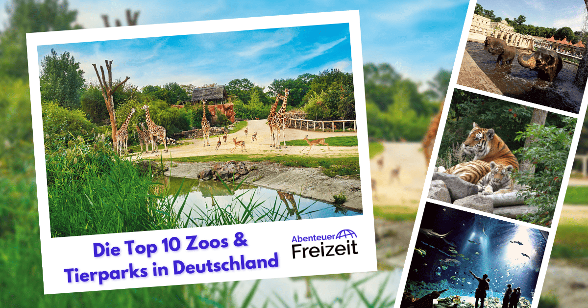 Die besten Tierparks und Zoos in Deutschland