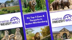 Die Top 3 Zoos & Tierparks in Baden-Württemberg
