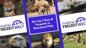 Die Top 3 Zoos & Tierparks in Rheinland-Pfalz