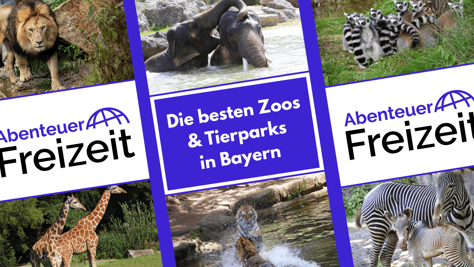 Die besten Zoos und Tierparks in Bayern