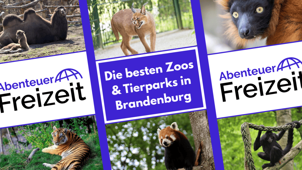 Die besten Zoos und Tierparks in Brandenburg