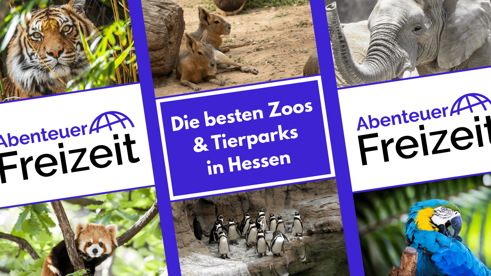 Die besten Zoos und Tierparks in Hessen