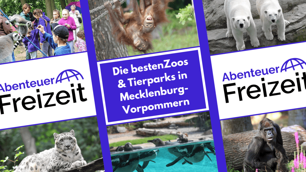 Die schönsten Zoos und Tierparks in Mecklenburg-Vorpommern