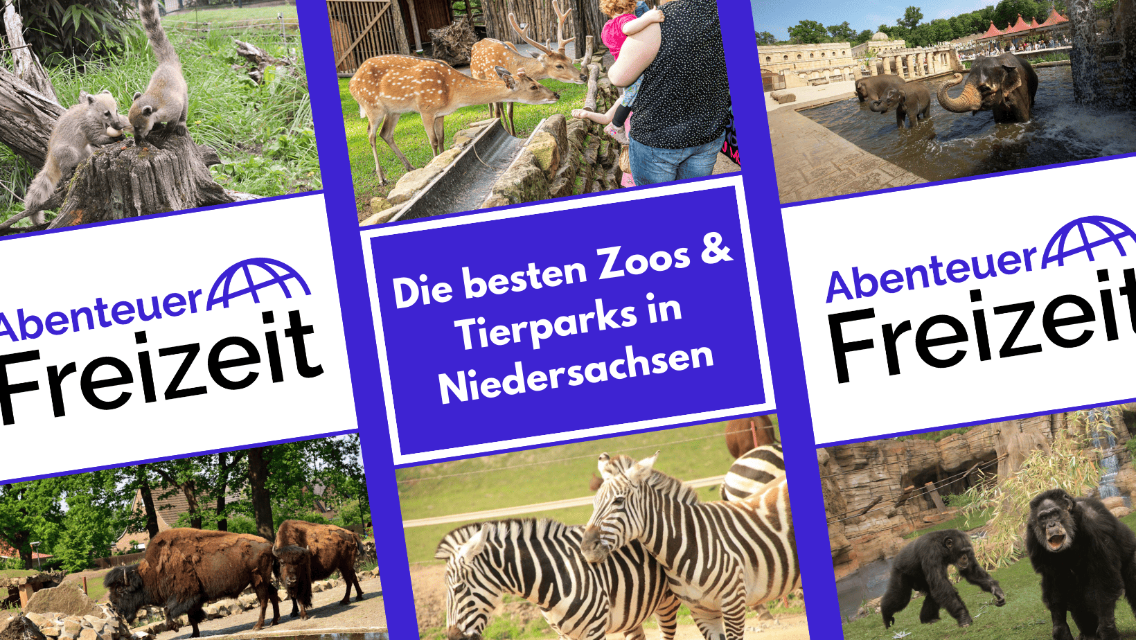 Die besten Zoos und Tierparks in Niedersachsen