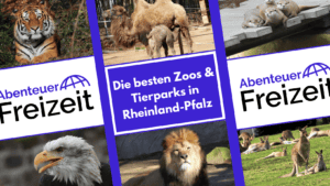 Die schönsten Zoos und Tierparks in RLP