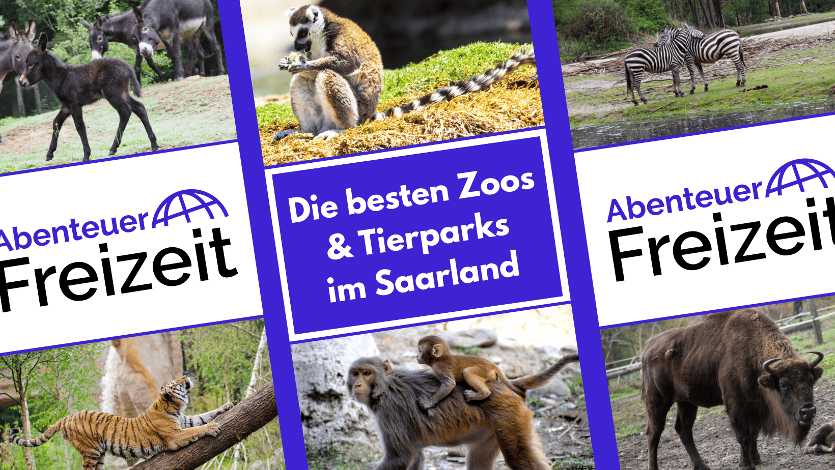 Die besten Zoos und Tierparks in Brandenburg