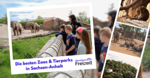Die beliebtesten Tierparks und Zoos in Sachsen-Anhalt