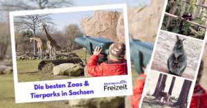 Die schönsten Tierparks und Zoos in Sachsen