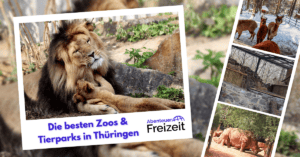 Die schönsten Zoos und Tierparks in Thüringen