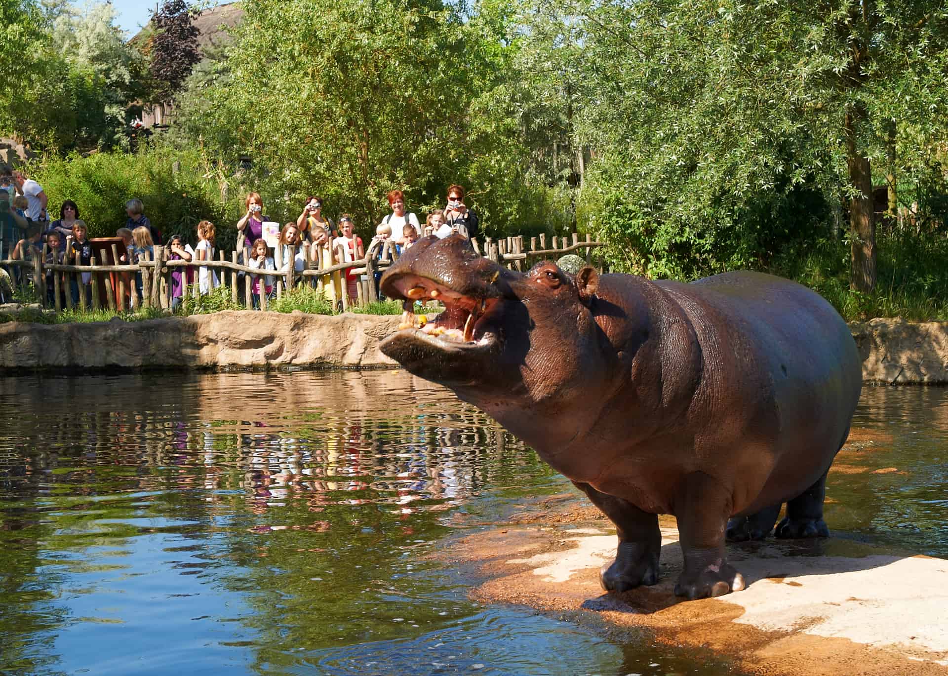 Zoo & Tierparks NRW Beste Zoos in NordrheinWestfalen