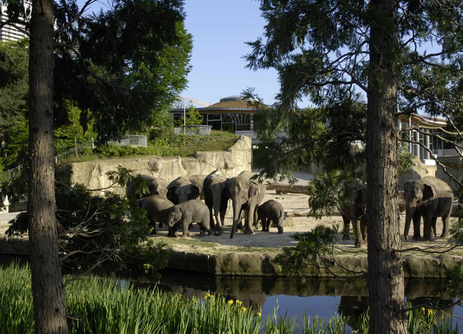 Sitemapcdatahttpsderinfbizidspannende Zoo Koln Groupon Ebenbild