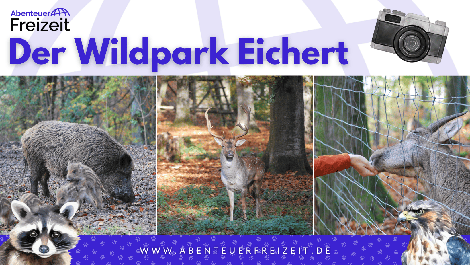 Stilvolle Tierparks Baden Wrttemberg Bild