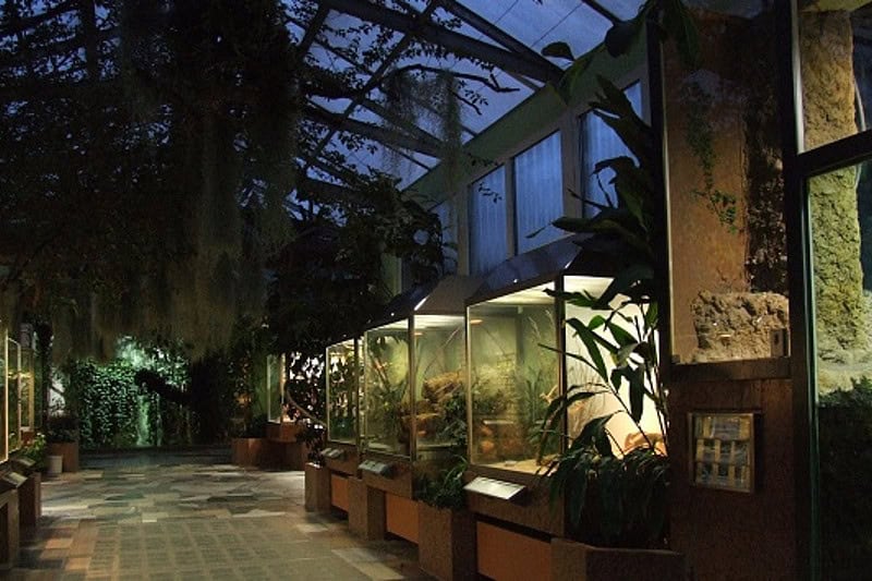 frankfurt bei regen, indoor aktivitäten frankfurt Das Exotarium im Zoo Frankfurt, Indooraktivität Frankfurt