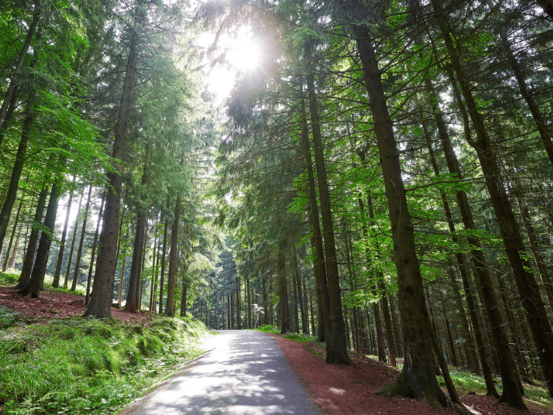 schönsten wanderwege in deutschland, 10 schönste wanderwege deutschland, beliebte wanderwege deutschland, top wanderwege deutschland, beste wanderwege deutschland schönsten wanderwege in deutschland, 10 schönste wanderwege deutschland, beliebte wanderwege deutschland, top wanderwege deutschland, beste wanderwege deutschland
