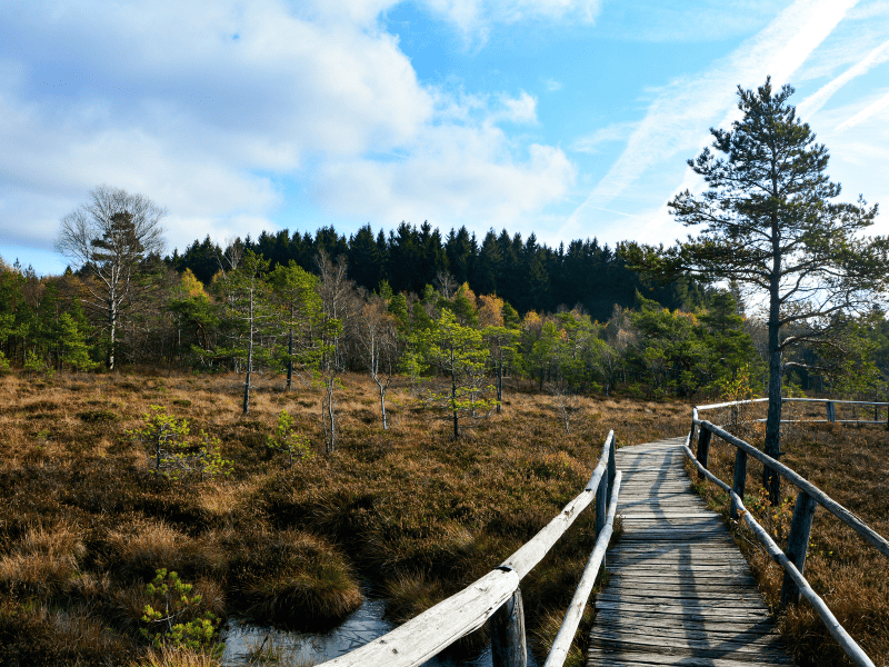 schönsten wanderwege in deutschland, 10 schönste wanderwege deutschland, beliebte wanderwege deutschland, top wanderwege deutschland, beste wanderwege deutschland Der Hohe Mark Steig