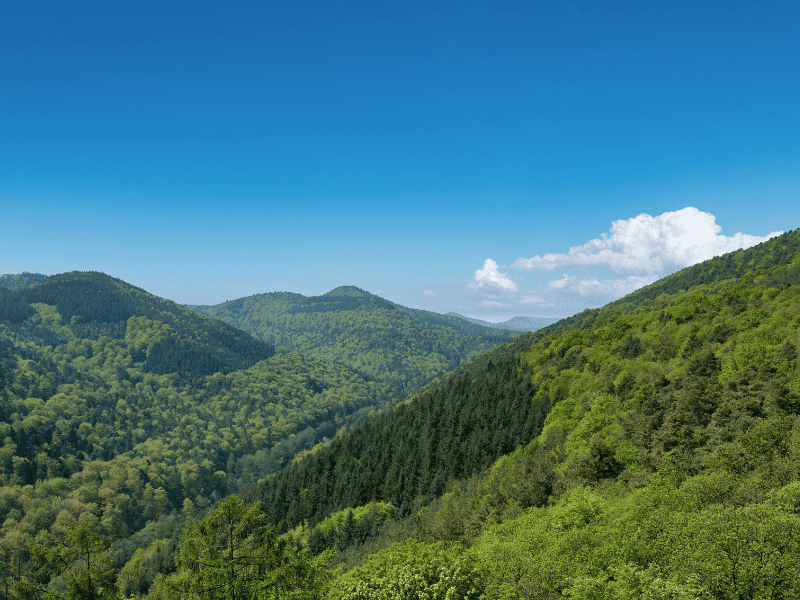 schönsten wanderwege in deutschland, 10 schönste wanderwege deutschland, beliebte wanderwege deutschland, top wanderwege deutschland, beste wanderwege deutschland Der Jurasteig