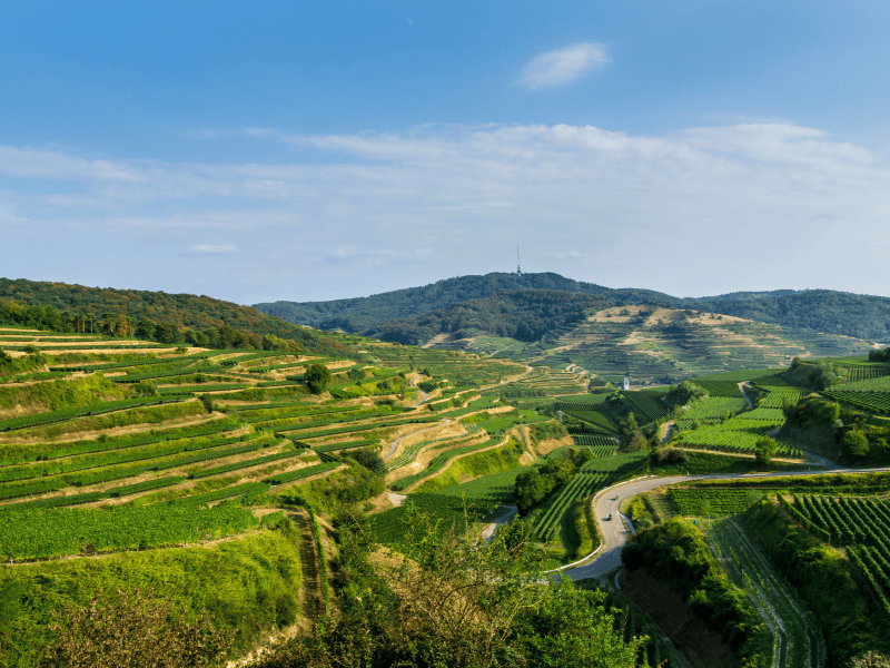 schönsten wanderwege in deutschland, 10 schönste wanderwege deutschland, beliebte wanderwege deutschland, top wanderwege deutschland, beste wanderwege deutschland Der Kaiserstuhlpfad