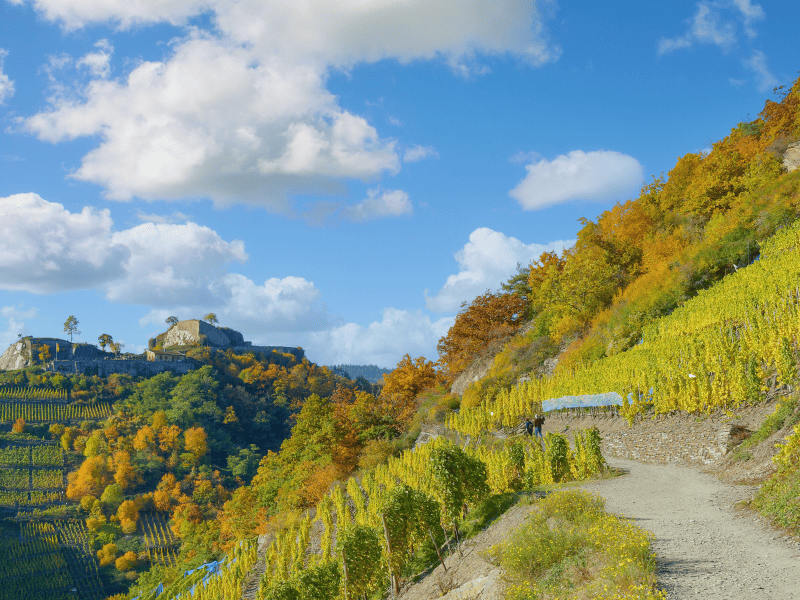 schönsten wanderwege in deutschland, 10 schönste wanderwege deutschland, beliebte wanderwege deutschland, top wanderwege deutschland, beste wanderwege deutschland schönsten wanderwege in deutschland, 10 schönste wanderwege deutschland, beliebte wanderwege deutschland, top wanderwege deutschland, beste wanderwege deutschland