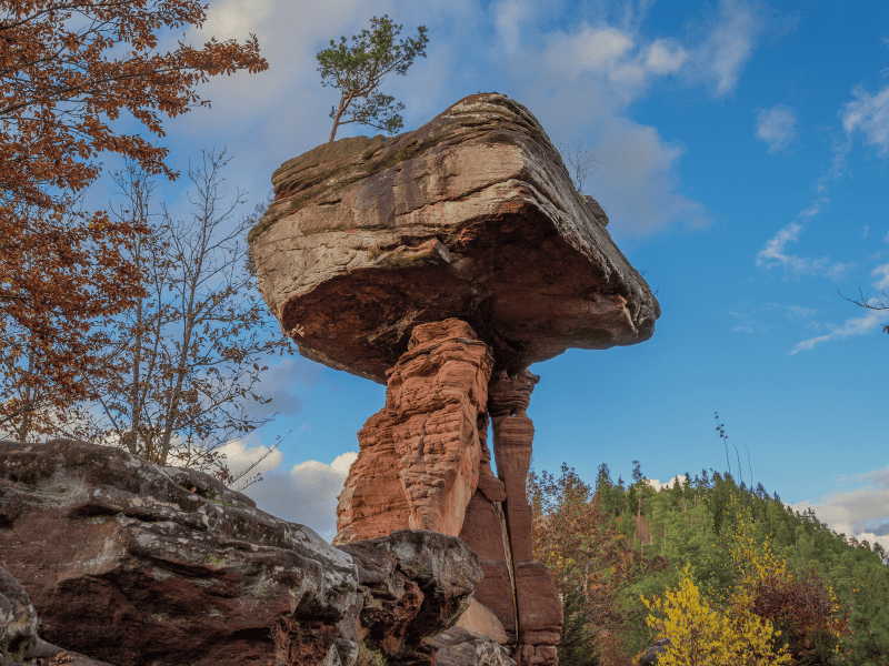 Der Teufelsstisch im Pfälzerwald