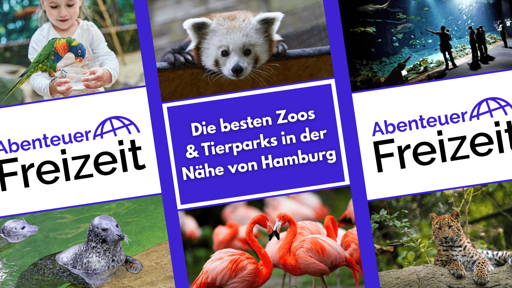 Die schönsten Zoos und Tierparks in Hamburg und Umgebung!
