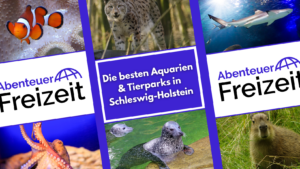Die beliebtesten Tierparks und Aquarien in Schleswig-Holstein