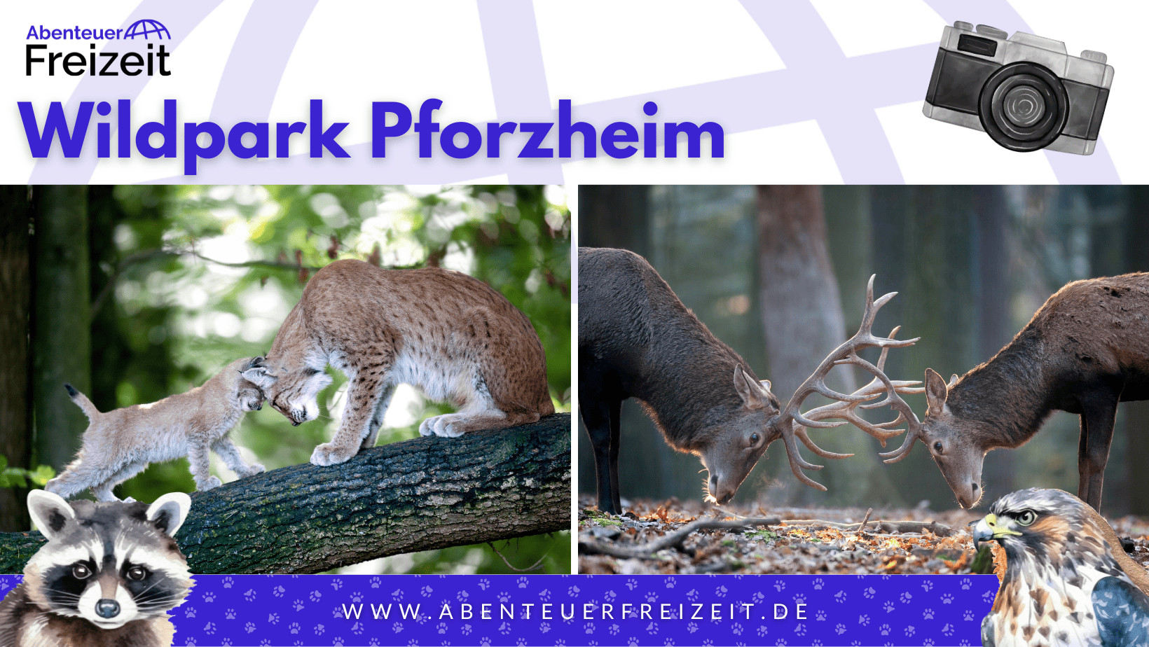 Stilvolle Tierparks Baden Wrttemberg Bild
