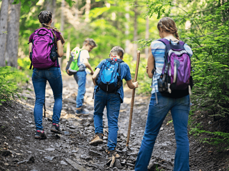 Ideen für Ausflüge mit Kindern: Wandern