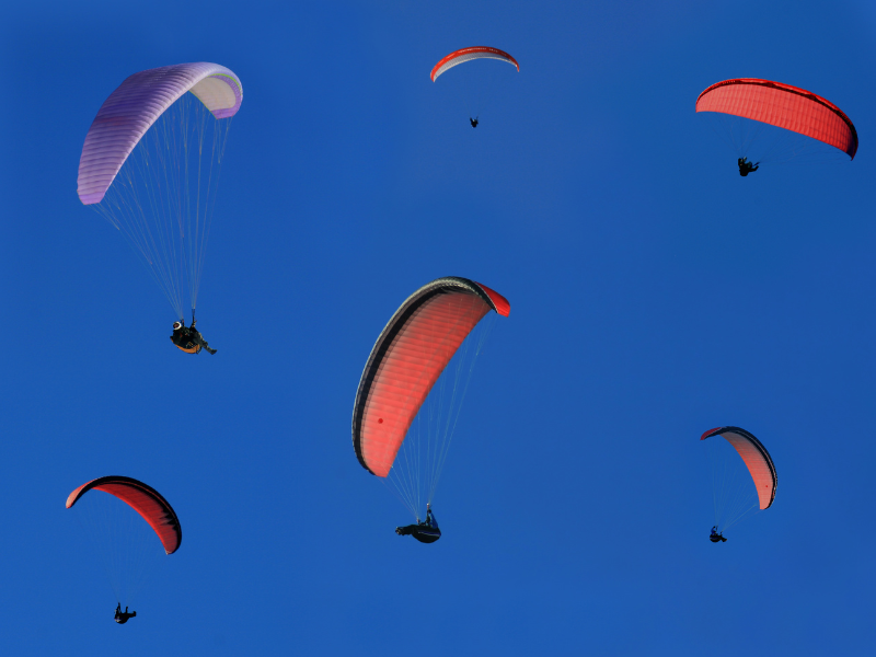 Action JGA Idee Männer: Paragliding