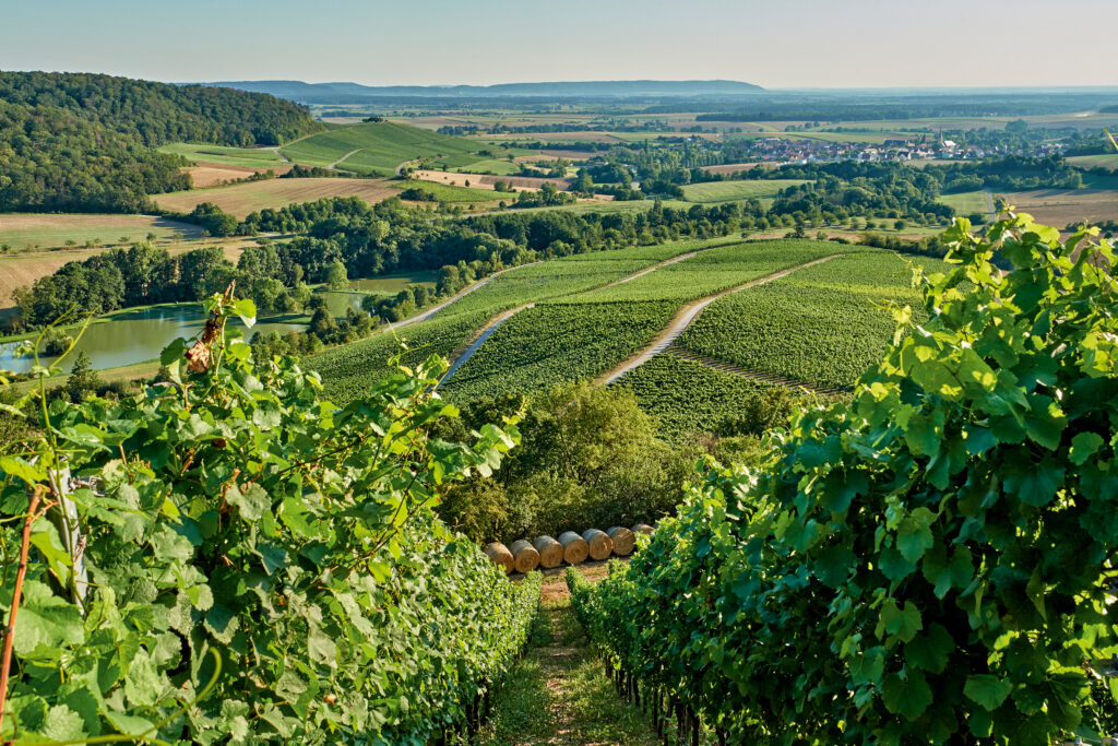 Franken Weinregion Deutschland