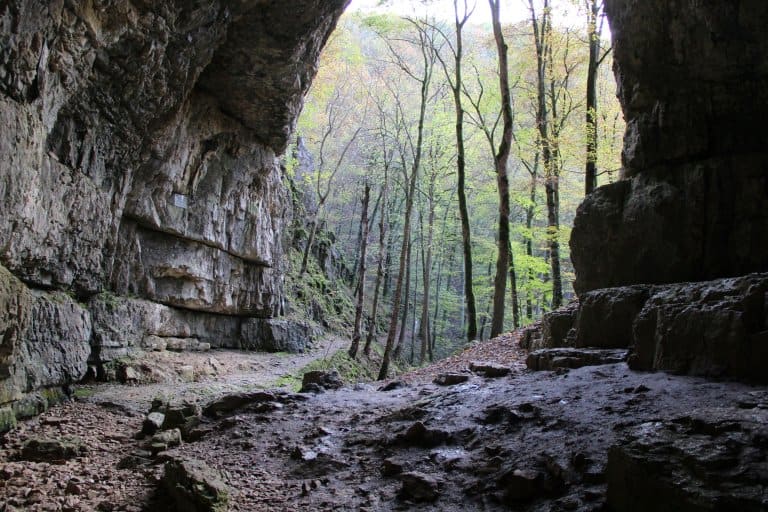 Die Falkensteiner Höhle, Schauhöhle in Deutschland