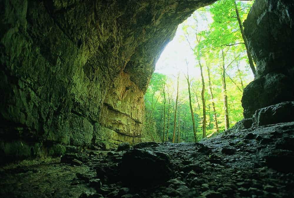Die Falkensteiner Höhle, Schauhöhle in Deutschland