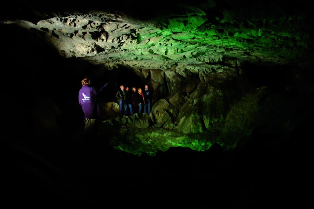Die Segeberger Kalkberghöhle, Schauhöhle in Deutschland
