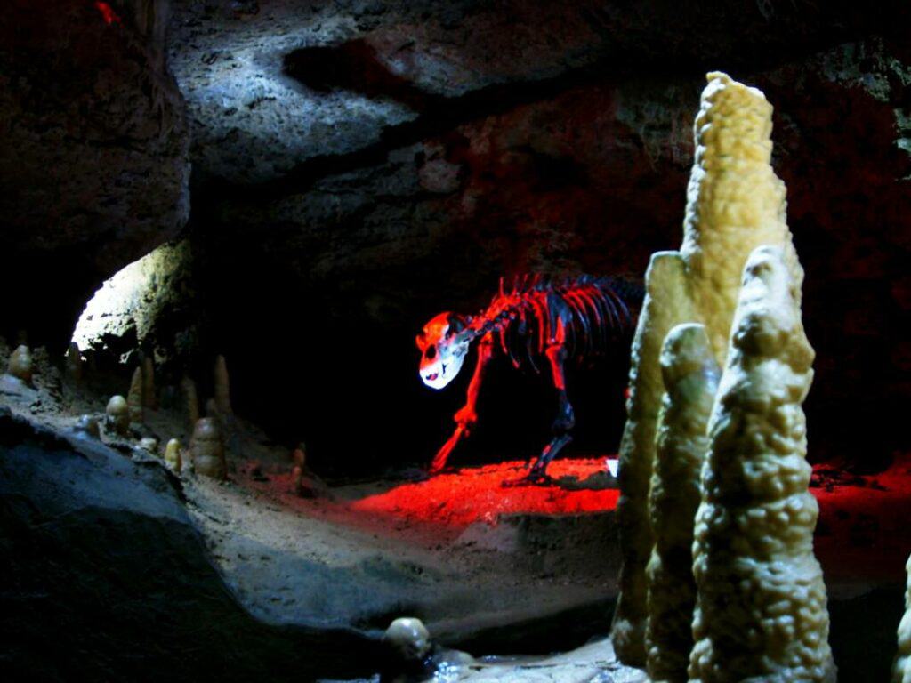 Die Teufelshöhle, Schauhöhle in Deutschland