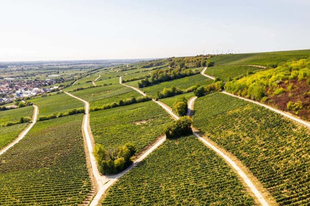 Die Niersteiner Glöck, Natursehenswürdigeit in RLP