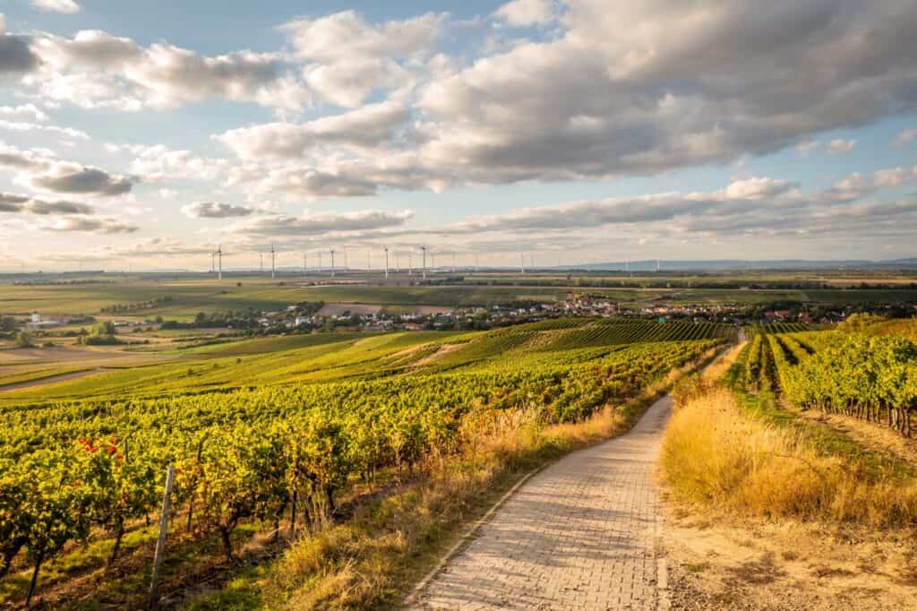 Das Pfälzer Bergland, Natursehenswürdigkeit in RLP