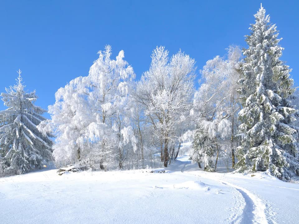 Schneeschuhwandern im Bayerischen Wald